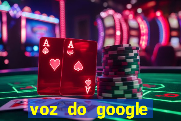 voz do google tradutor homem